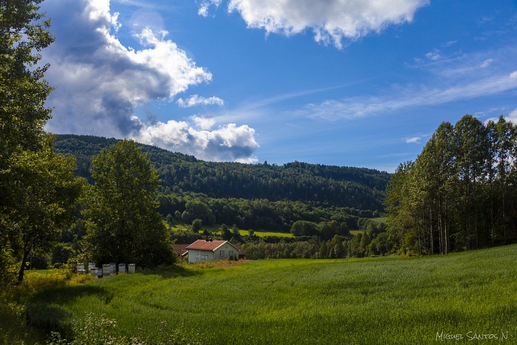 Kongsberg Outskirts